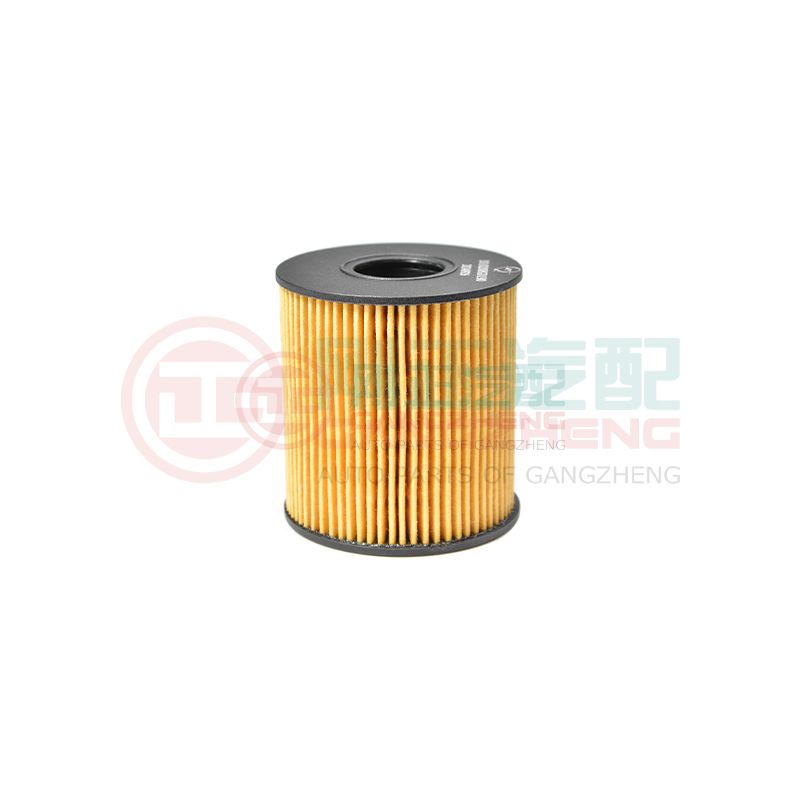 1010208GD190 Genuine Quality Auto Car Engine Oil Filter Parts For JAC