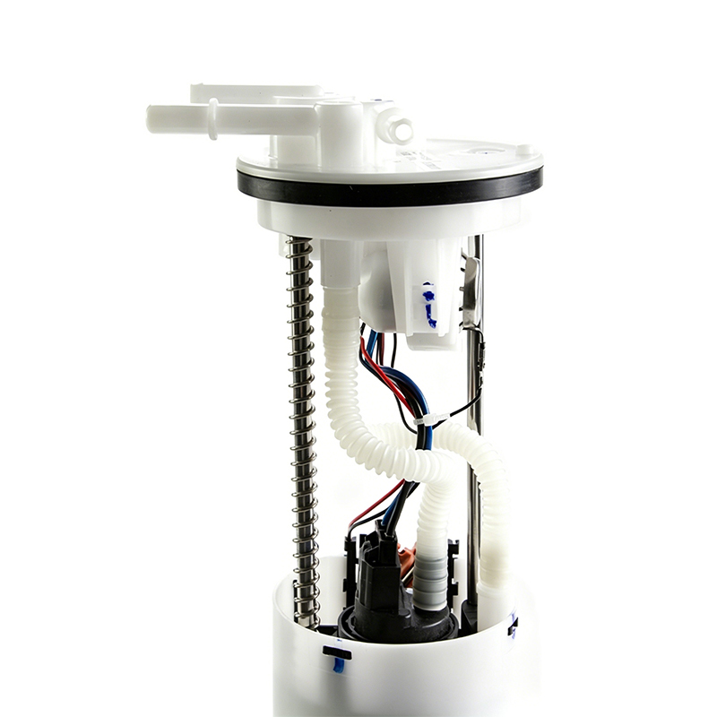 Electronic Fuel Pump Assembly 
