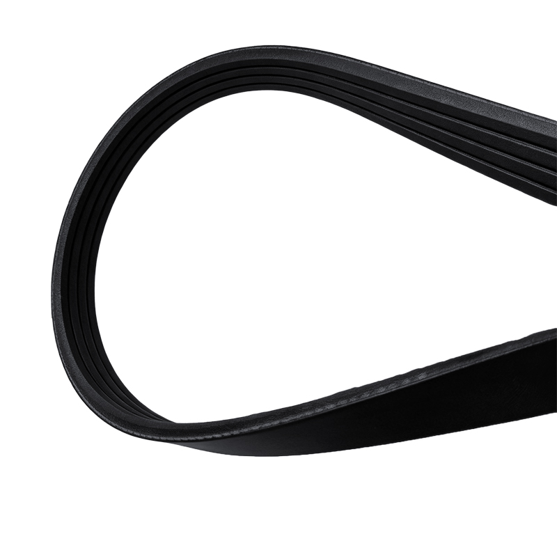 Compressor Belt 