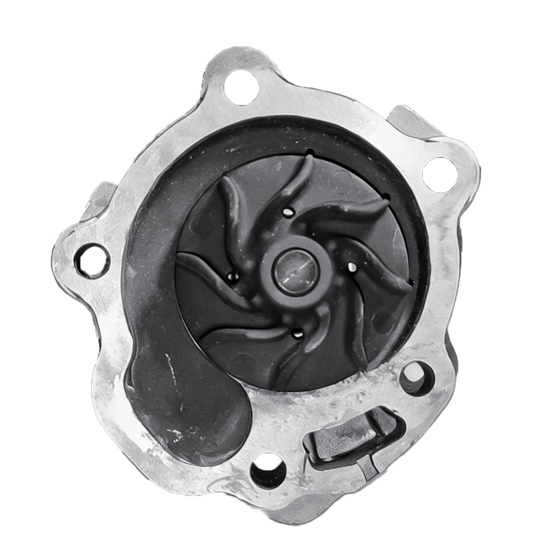 Water Pump for Changa