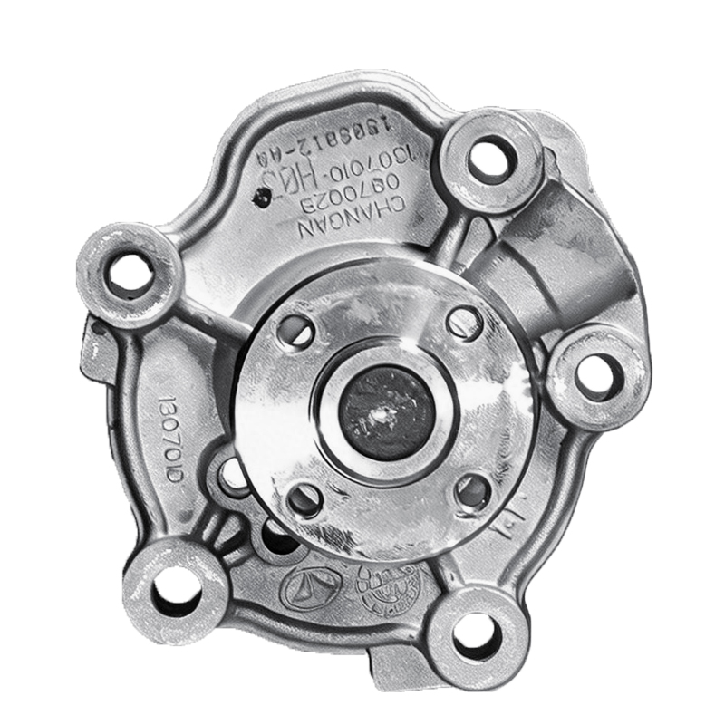 Water Pump for Changa