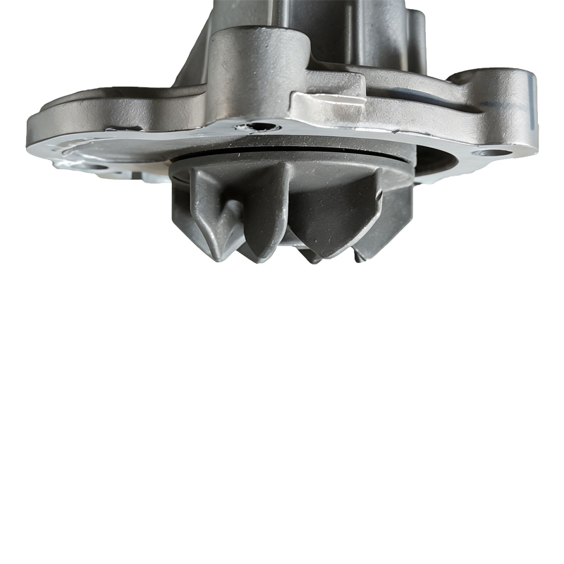 Water Pump for Changa