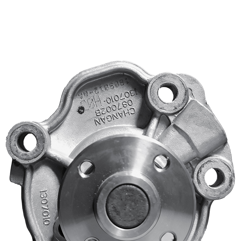 Water Pump for Changa