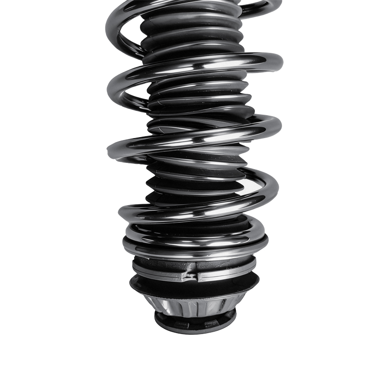 Left Front Strut Assembly