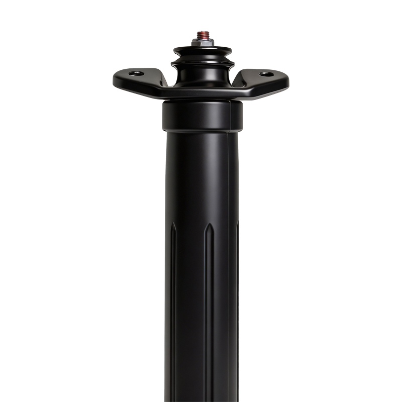 Rear Shock Absorber for Changan