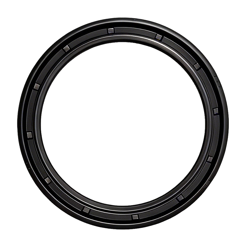 Rear Crankshaft Oil Seal