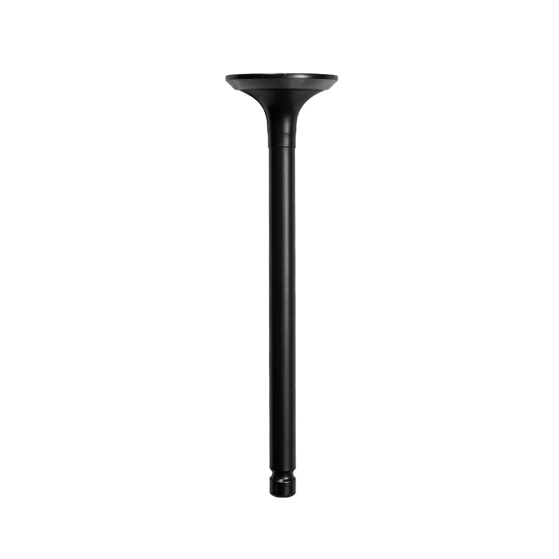 Intake Valve for Changan