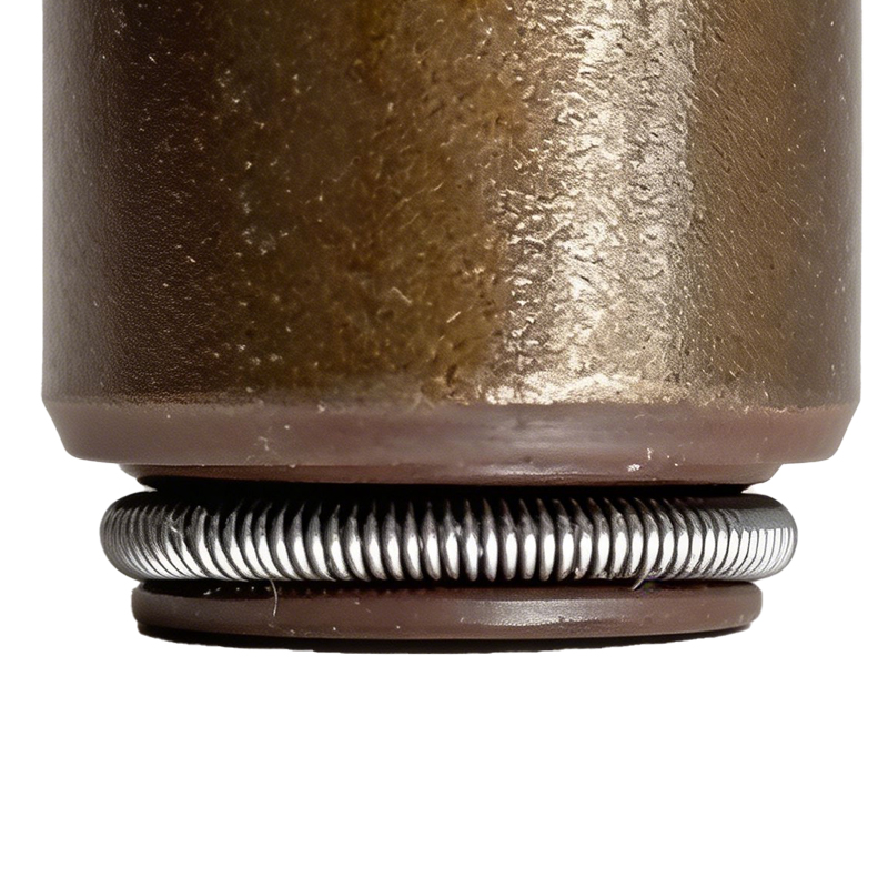 Valve Stem Seal Assembly